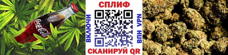 хочу наркоту  mega зеркало  Canna-Cookies марихуана  Вичуга 