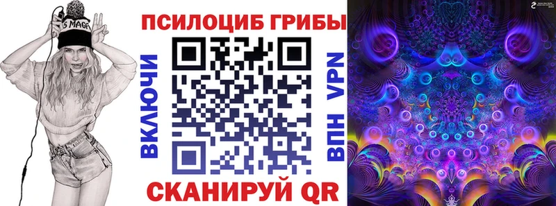 Галлюциногенные грибы Psilocybine cubensis Вичуга